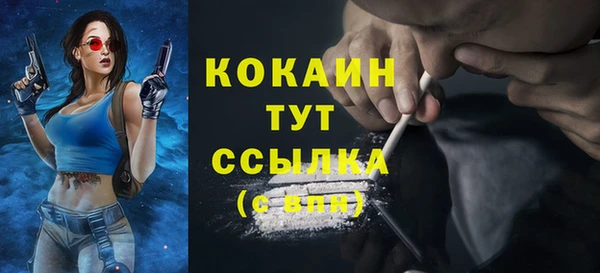 стафф Козельск