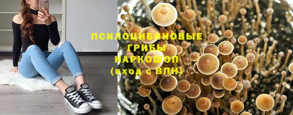 гидропоника Карпинск