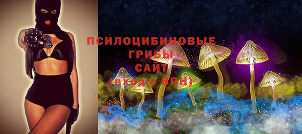 сатива Коряжма
